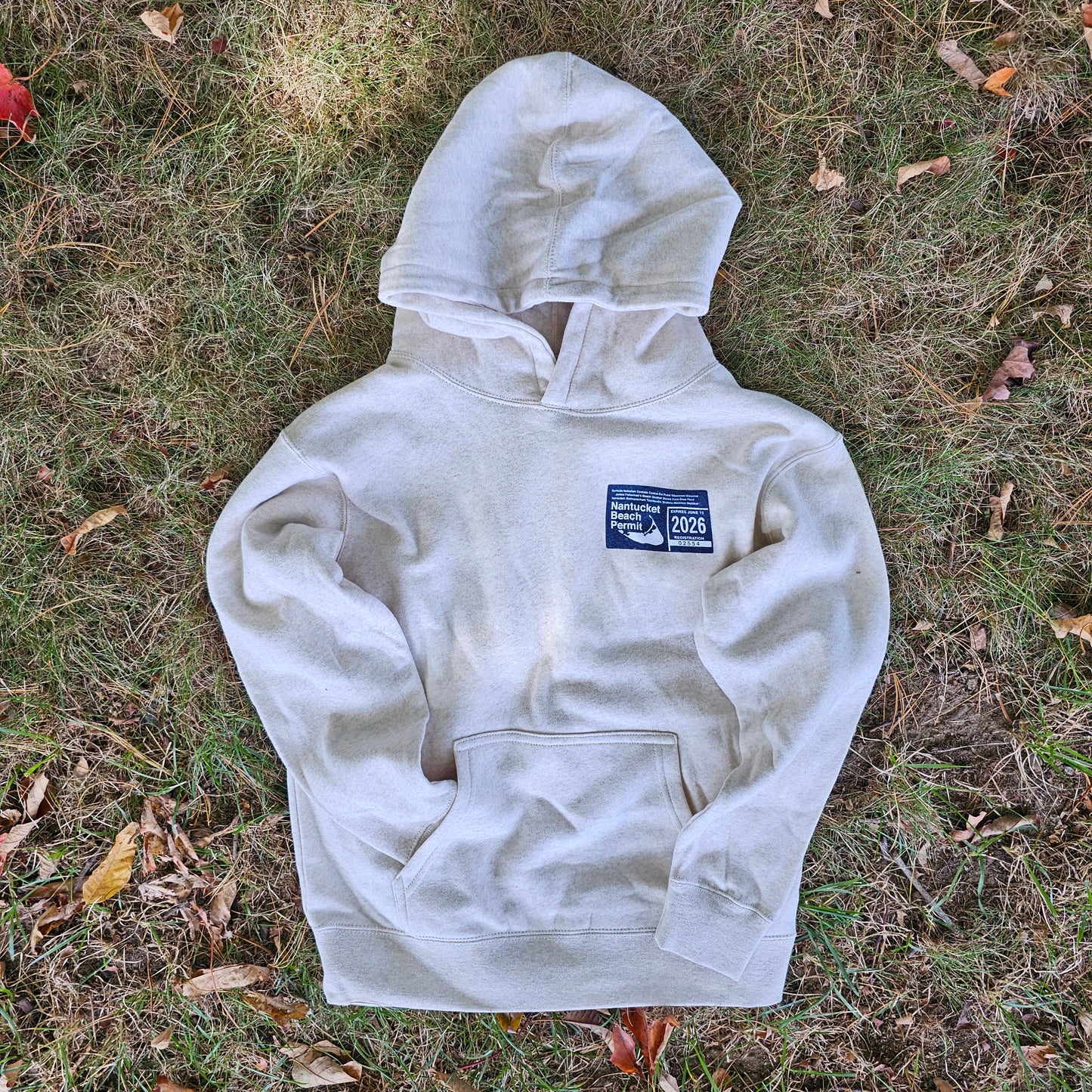 2026 Youth Beach Permit Hoodie