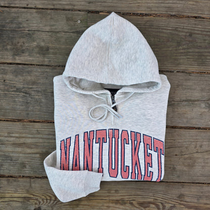 Nantucket Arch Tall Type Mini Zip Hoodie