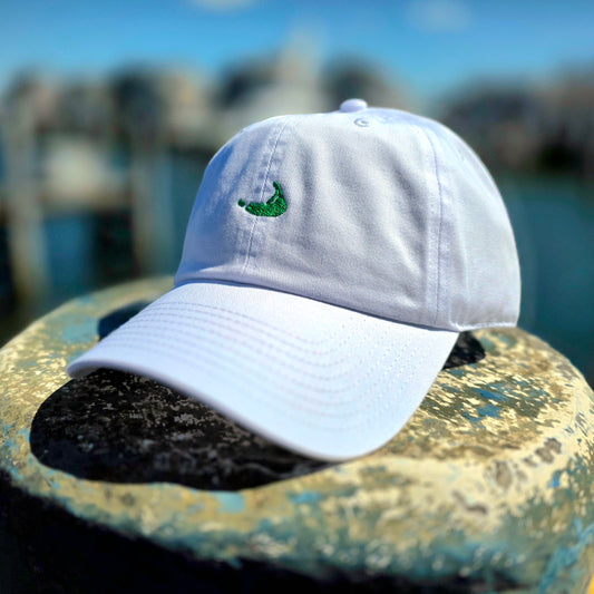Nantucket Island Washed Polo Hat